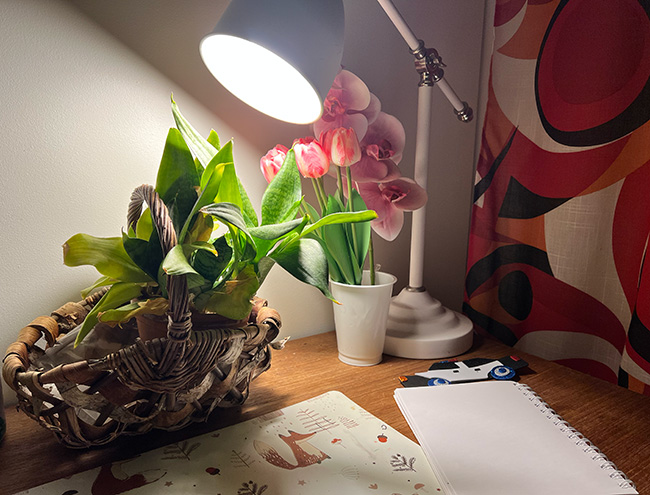 Älylamppu päällä kirkkaana työpöydällä