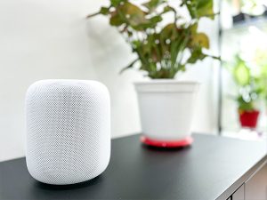 Apple HomePod lipaston päällä kukan vieressä.