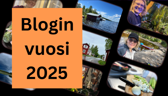 Kuvia vuoden ajalta, teksti blogin vuosi 2025