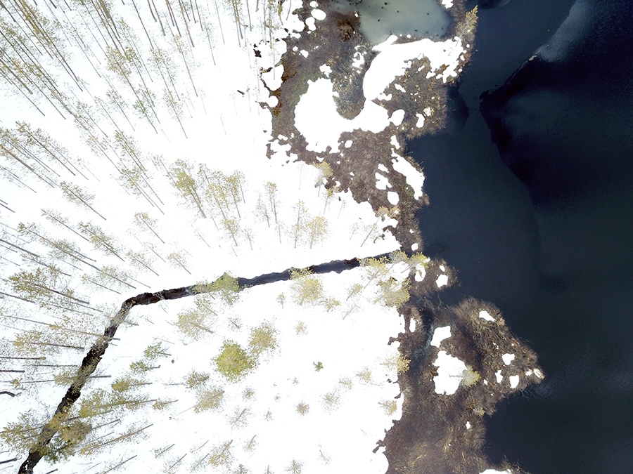 Dronella otettu kuva metsästä